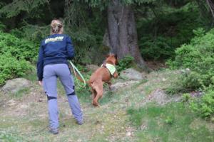 2018 Ausbildungswoche Arber